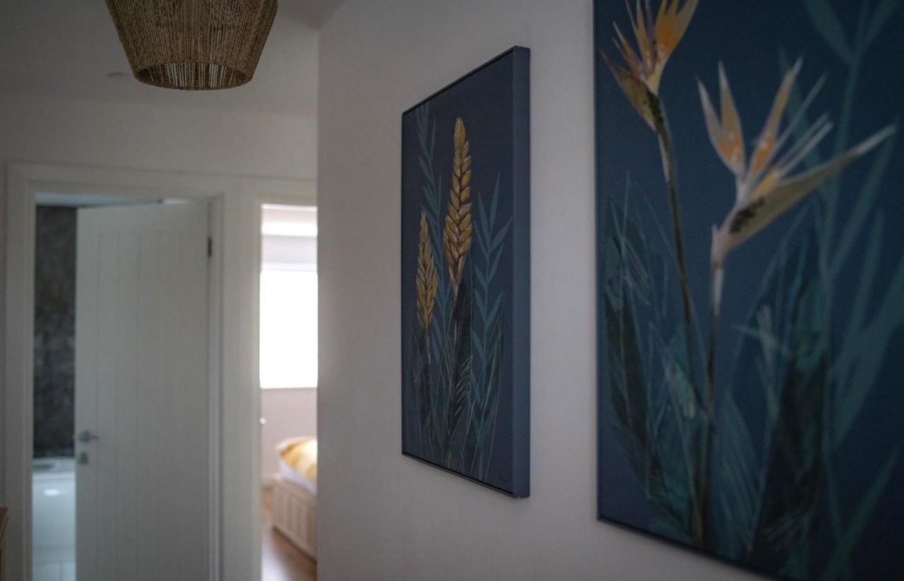 The Red House Modern Stylish Home From Home Walking Distance To Cardiff Bay And City Centre With Parking Dış mekan fotoğraf